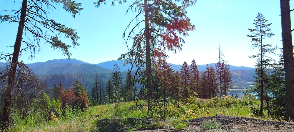 The Pend Oreille RiverImage