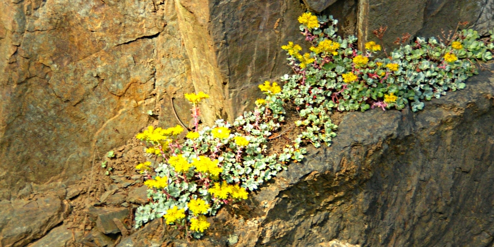 The Earth&prime;s SeashoresThe Deception Pass