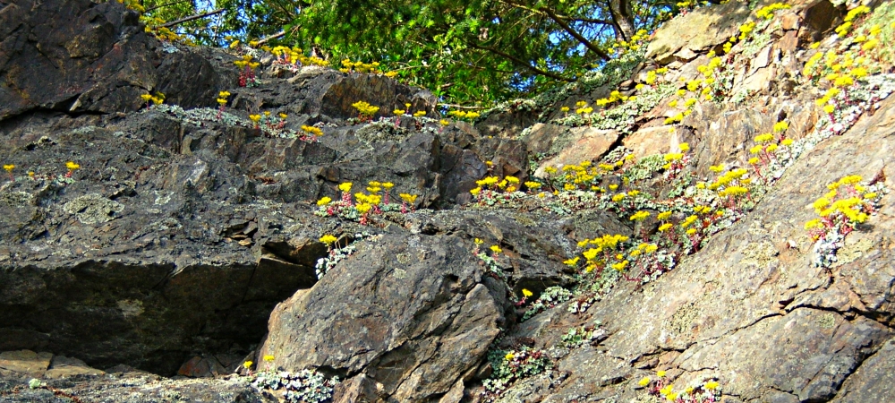 The Earth&prime;s SeashoresThe Deception Pass