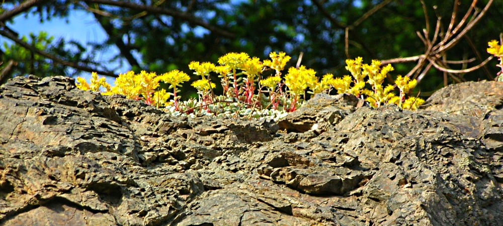 The Earth&prime;s SeashoresThe Deception Pass