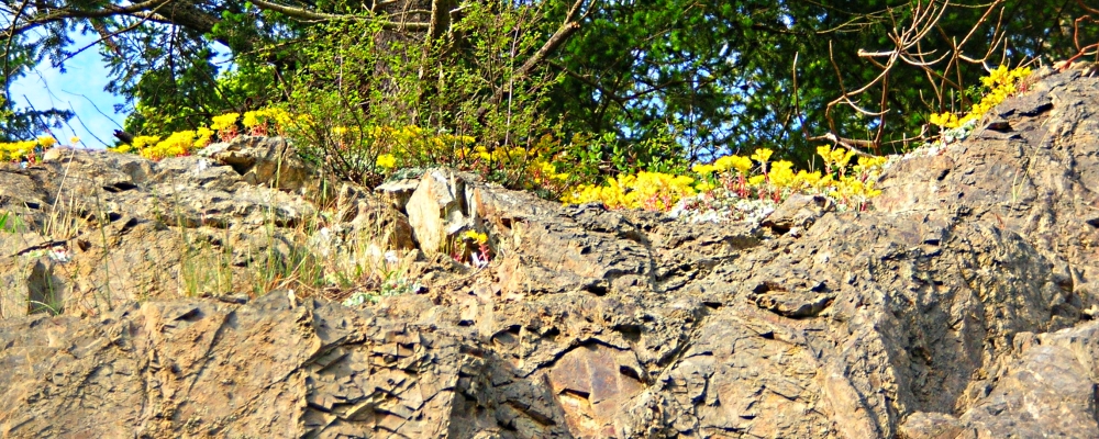 The Earth&prime;s SeashoresThe Deception Pass