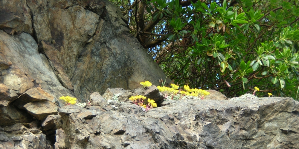 The Earth&prime;s SeashoresThe Deception Pass