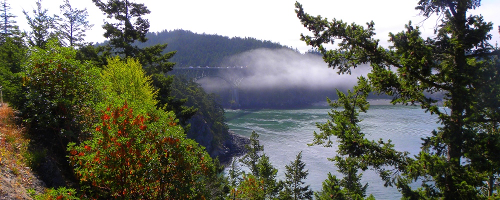 The Deception PassReach of the Cloud