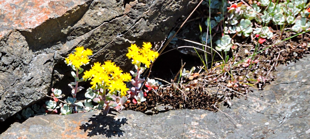 The Earth&prime;s SeashoresThe Deception Pass