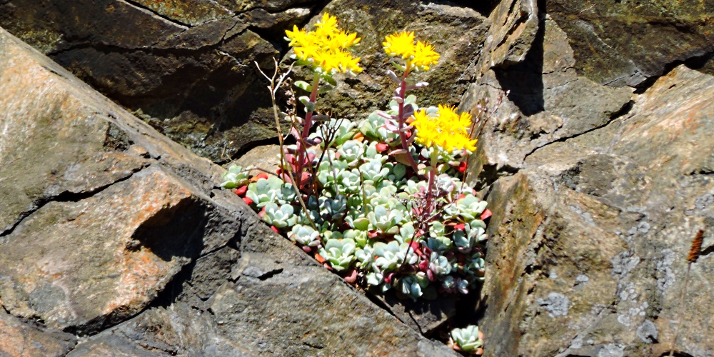 The Earth&prime;s SeashoresThe Deception Pass