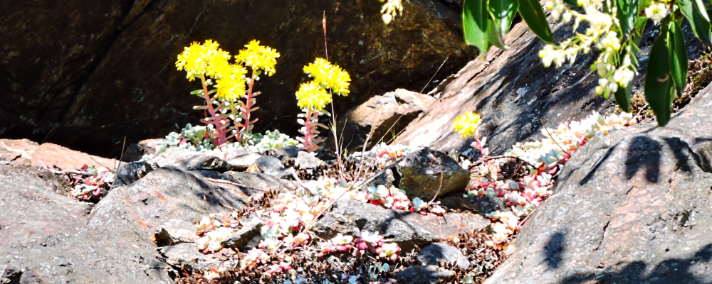The Earth&prime;s SeashoresThe Deception Pass