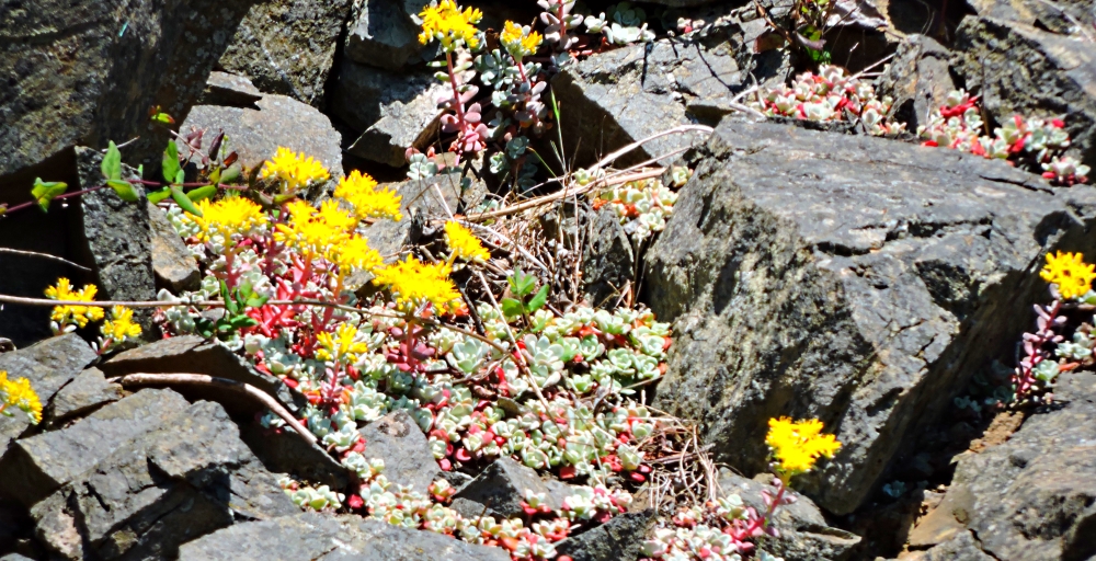 The Earth&prime;s SeashoresThe Deception Pass