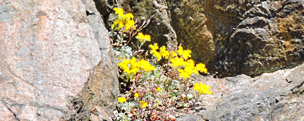 The Earth&prime;s SeashoresThe Deception Pass