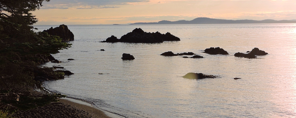 The Earth&prime;s SeashoresThe Deception Pass