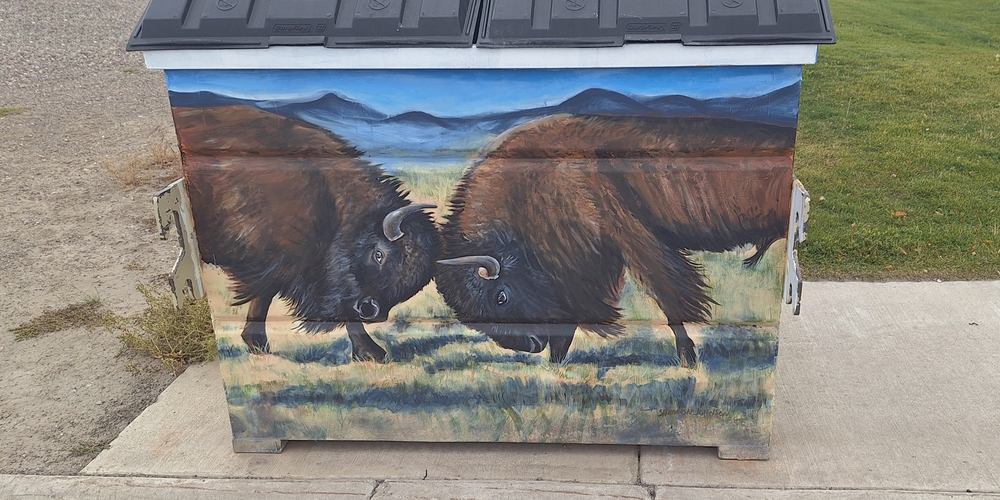 The Modern Man, The ArchitectureWall Murals of Cut Bank: Buffalo Trash