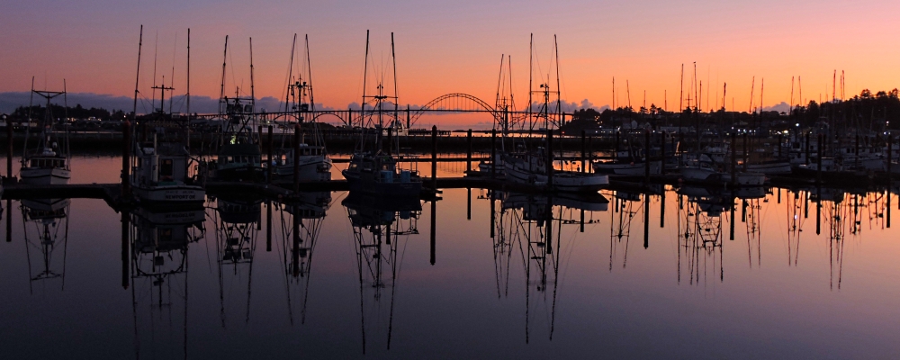 The Arch BridgesThe Yaquina Bay Bridge