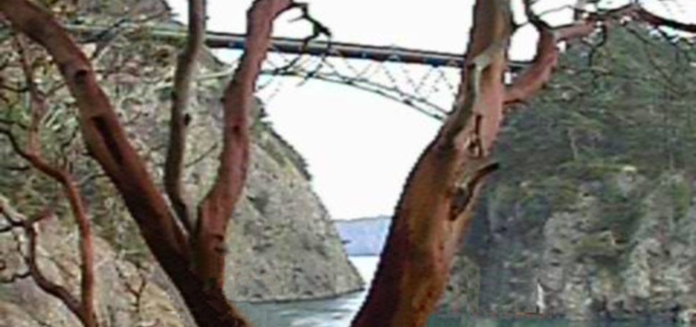 The Cantilever BridgesThe Deception Pass Bridge