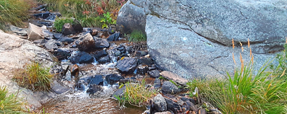 The ThreesThe Big Tesuque Creek