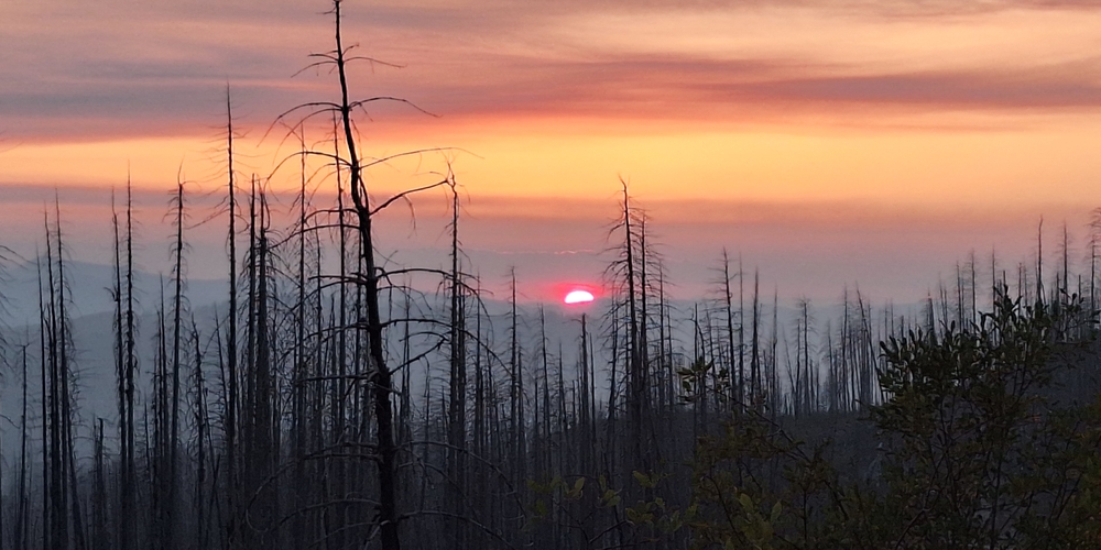 The Rocky Mountains Region Washington: The Northern Rockies