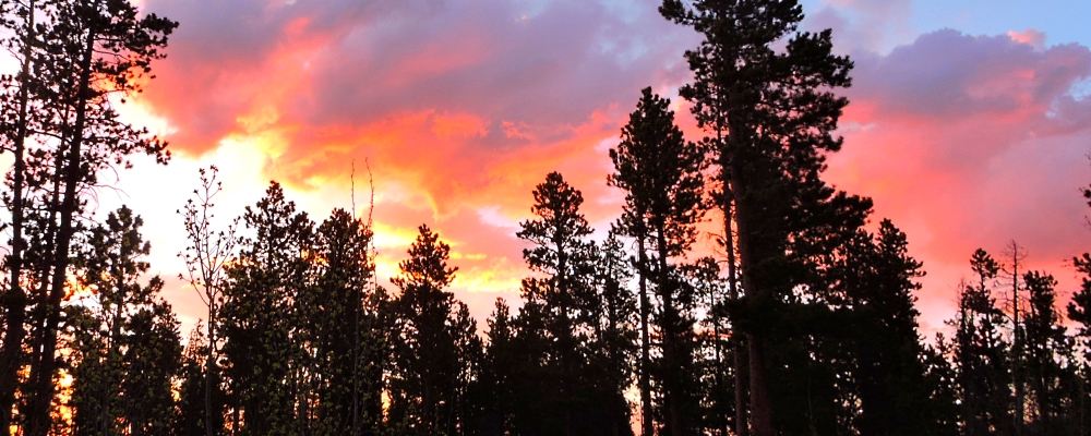 The FoursRed Feather NFDC Campground