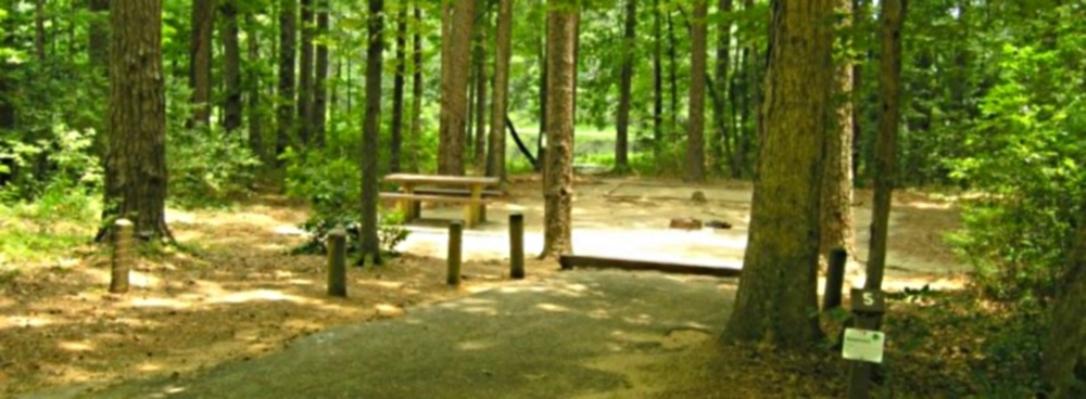The Forest GalleryEast Texas Big Thicket