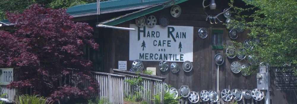 The FoursThe Forest in Olympic National Park