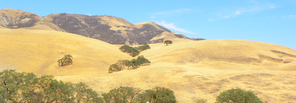 Back country nearPinnacles National Park