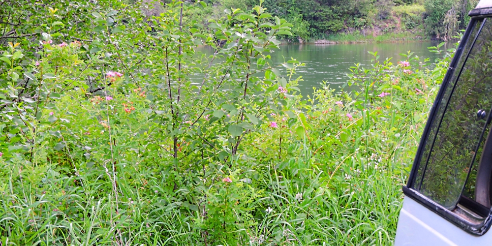 The FivesThe Blackwell Flats Recreational Area Campground, Montana,