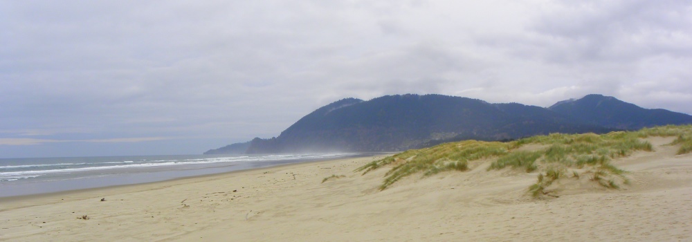 A Way&fnof;arers CampsitesThe Nehalem Bay State Park Campground