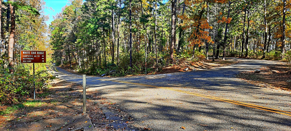 The SixesAtlanta State Park Campground, Texas