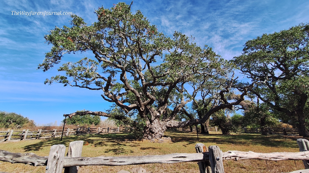 A Way&fnof;arers Campsites Goose Island State Park Campground