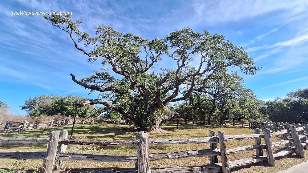 A Way&fnof;arers Campsites Goose Island State Park Campground