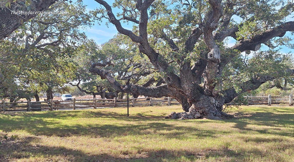 A Way&fnof;arers Campsites Goose Island State Park Campground