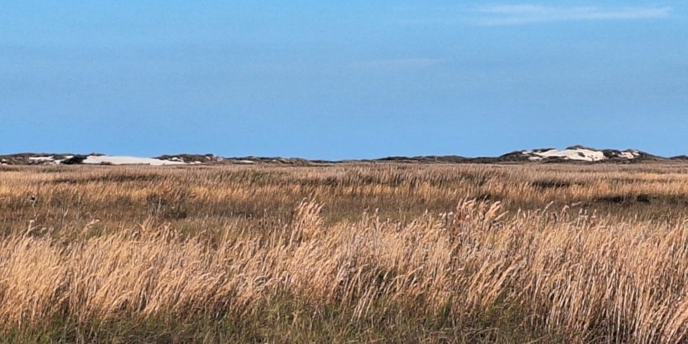 A Way&fnof;arers Campsites: 2023Padre Island National Seashore: Sand Dunes
