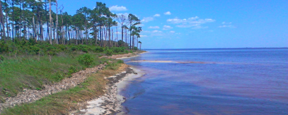 A Way&fnof;arers CampsitesThe Davis Bayou Campground