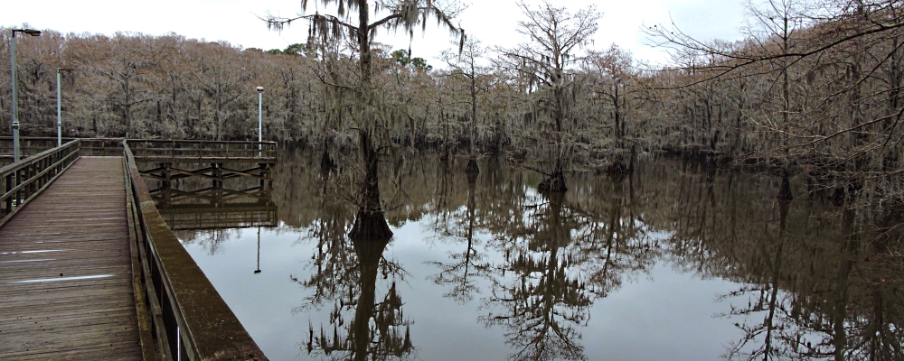 The SixesCaddo Lake State Park Campground