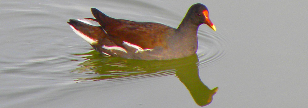 The SixesCasa Blanca State Park Campground