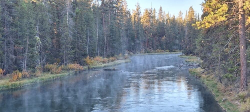 A Way&fnof;arers Campsites