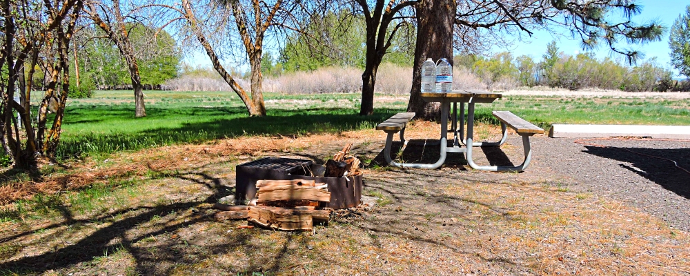 The NinesThe Goose Lake Campground