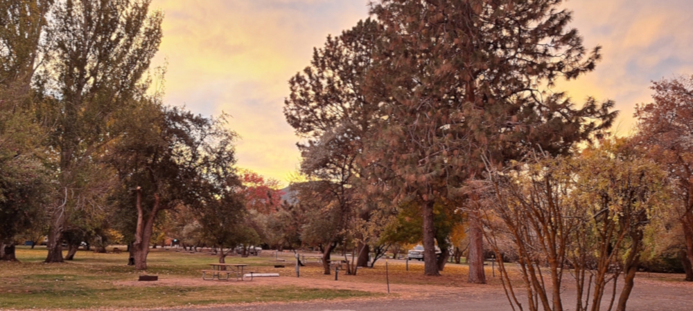 The NinesThe Goose Lake Campground