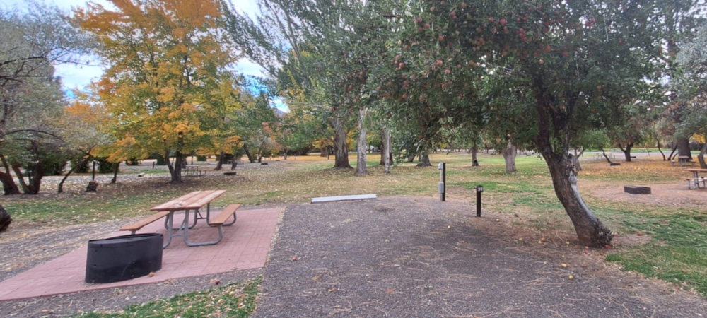 The NinesThe Goose Lake Campground