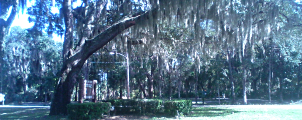 The Forts: FloridaFort Caroline