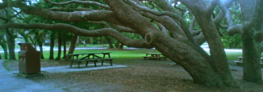 The Forts: FloridaFort Matanzas