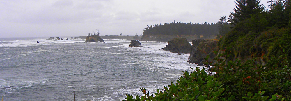The Lights of OregonCape Arago Light