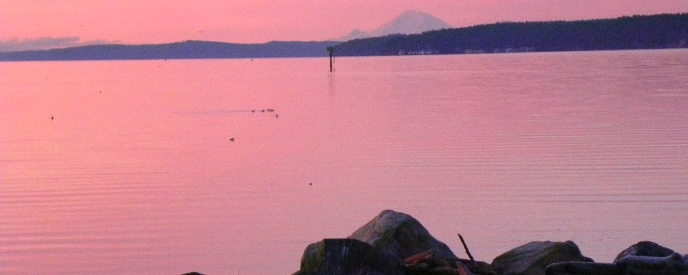 Morning SunglowWith Rainier in Distance