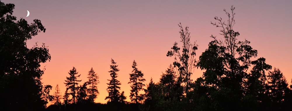 The 2019 JourneySeptember Sunglow