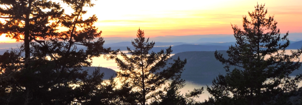 The 2019 JourneySeptember Sunglow