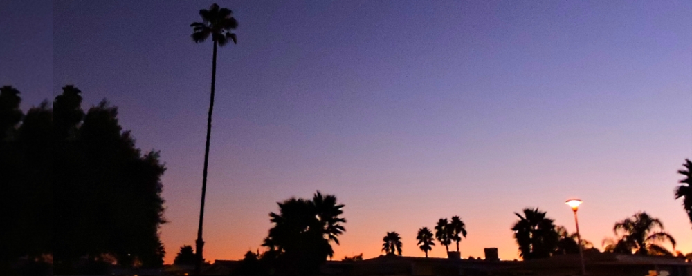 The 2019 JourneyOctober Sunglow