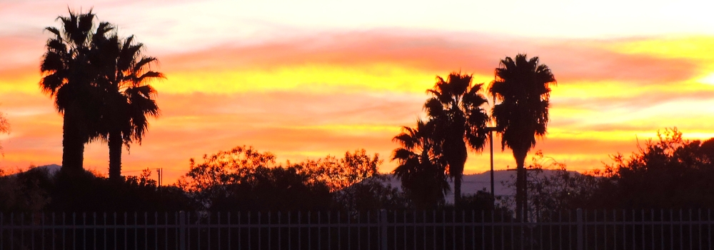 The 2019 JourneyNovember Sunglow