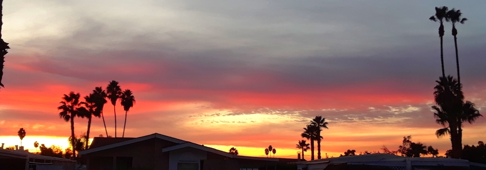The 2019 JourneyNovember Sunglow