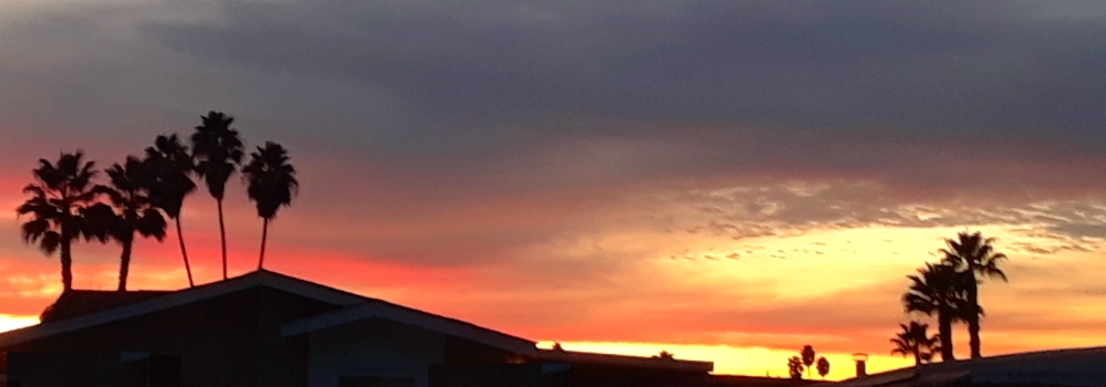 The 2019 JourneyNovember Sunglow
