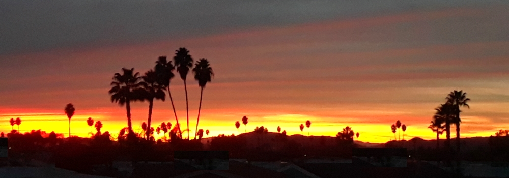 The 2019 JourneyDecember Sunglow