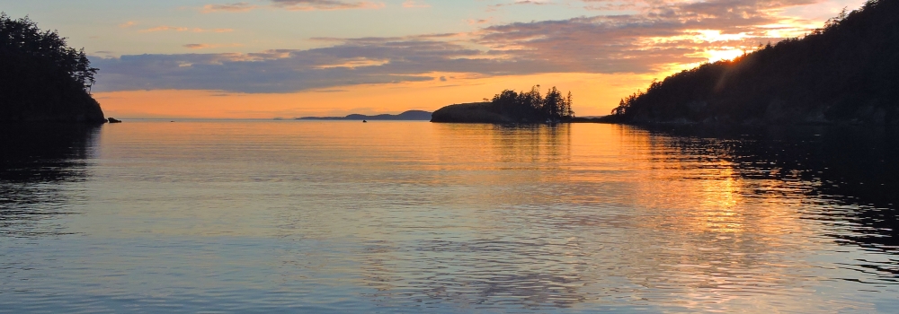 The July 2020 Journey