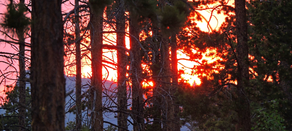 The 2021 JourneyThe April Sunglow