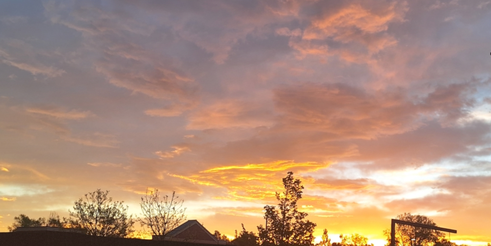 The 2024 Journey: Northbound JourneySpring Time Journey: Fort Collins, Colorado